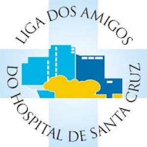 Assembleia Geral da Liga dos Amigos do Hospital de Santa Cruz (2)